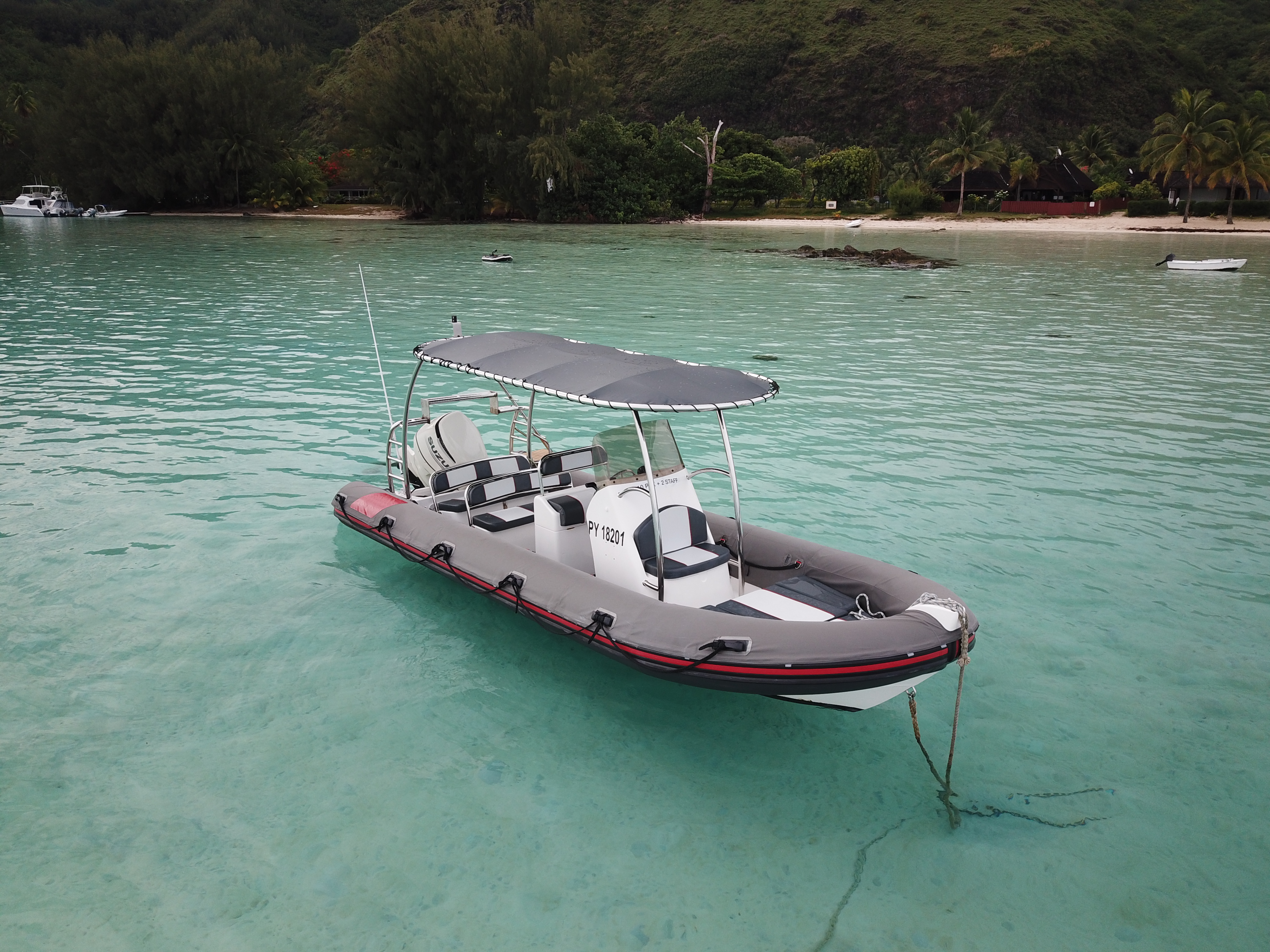 moorea nage avec raie snorkeling tour privé